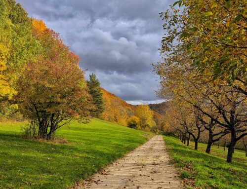 AUS.ZEIT. – Fotos und Gedanken – Woche 15