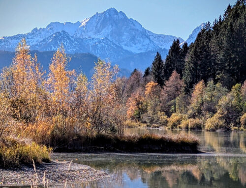 AUS.ZEIT. – Fotos und Gedanken – Woche 16